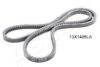 ASHIKA 109-13X1405 V-Belt